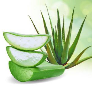 Aloe-vera