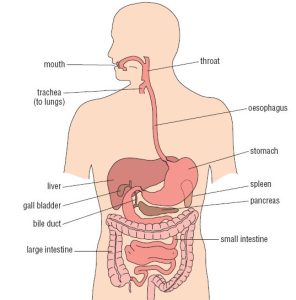 achalasia-cure