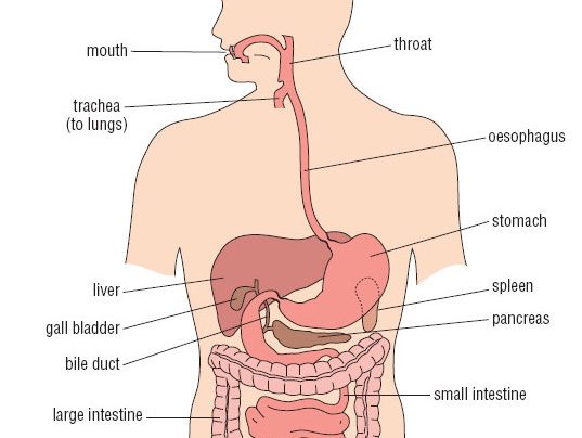 achalasia-cure