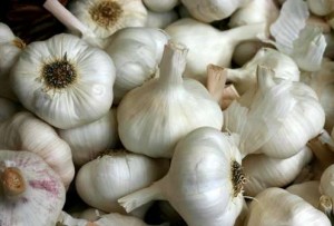 Garlic-Fight-300x203