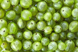 Gooseberries-for-Prickly-Heat