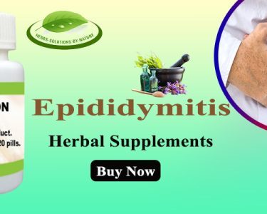 Herbal Remedies for Epididymitis Start Treating Your Epididymitis Naturally Today