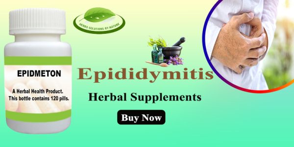 Herbal Remedies for Epididymitis Start Treating Your Epididymitis Naturally Today