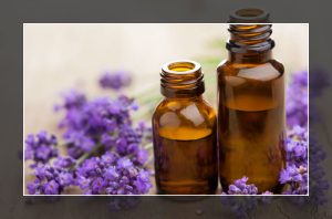Lavender-Essential-Oil-for-Prickly-Heat
