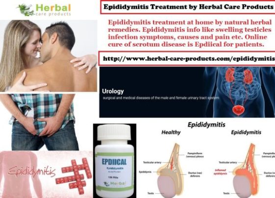 Natural Herbal Treatment for Epididymitis and Symptoms, Causes