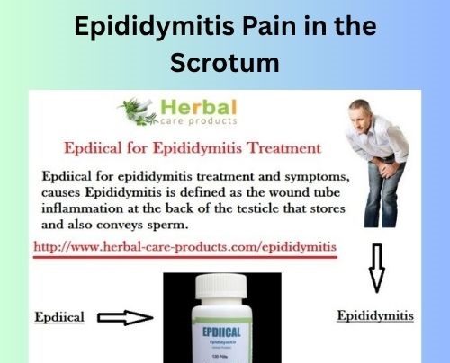 Natural Treatment for Epididymitis Pain in the Scrotum