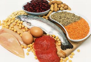 Quality-Protein-sources