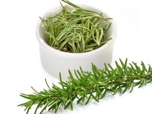 Rosemary