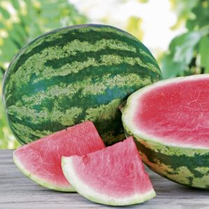 Water-melon-768x768