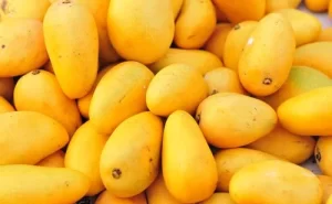 indian-mangoes-500x500