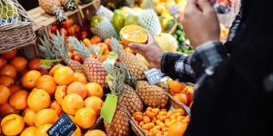 Exclusive Fruit Diet