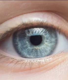 New trial explores cold-pressed castor oil as safe, natural treatment for dry-eye disease