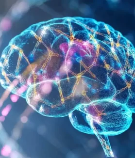 Study Links Gene Variations to Brain Changes in Essential Tremor