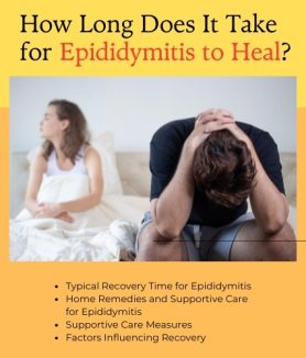 How Long Does It Take for Epididymitis to Heal 1