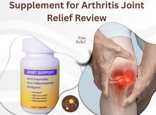 Natural Joint Supplement for Arthritis Joint Relief