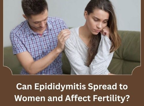 Can Epididymitis Spread to Women