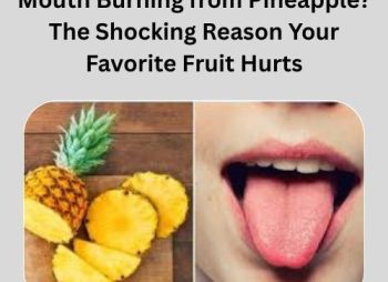Mouth Burning from Pineapple