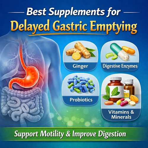 Best Supplements for Delayed Gastric Emptying