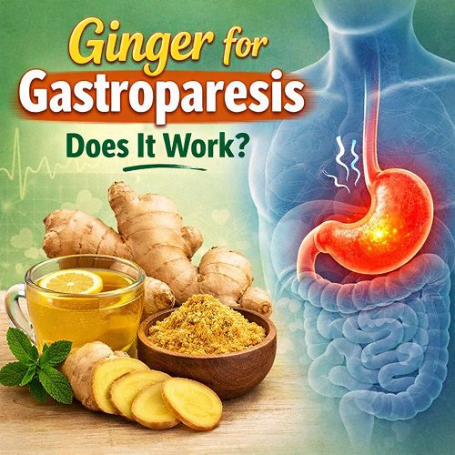 Ginger for Gastroparesis – Does It Work?