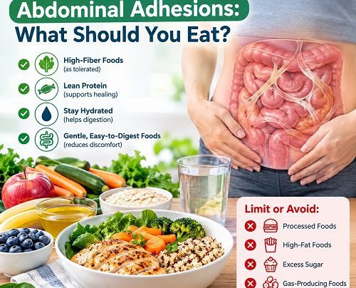 Diet for abdominal adhesions showing healthy digestive foods and abdominal organs