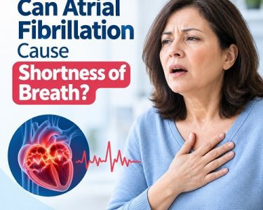 Medical illustration showing the heart and lungs to explain the connection between atrial fibrillation and shortness of breath.