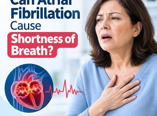 Medical illustration showing the heart and lungs to explain the connection between atrial fibrillation and shortness of breath.