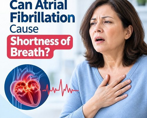 Medical illustration showing the heart and lungs to explain the connection between atrial fibrillation and shortness of breath.
