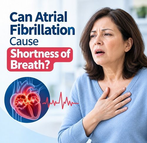 Medical illustration showing the heart and lungs to explain the connection between atrial fibrillation and shortness of breath.