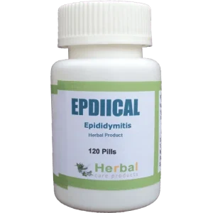 Epididymitis-Herbal-Treatment-500x500-1-1