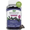 Natures-Way-Sambucus-Elderberry-Gummies-4-359x360