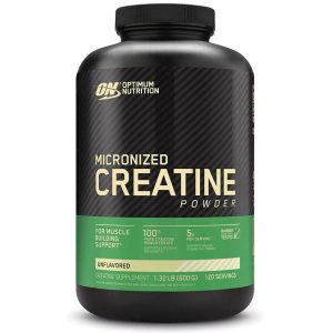 Optimum-Nutrition-Micronized-Creatine-Monohydrate-Powder